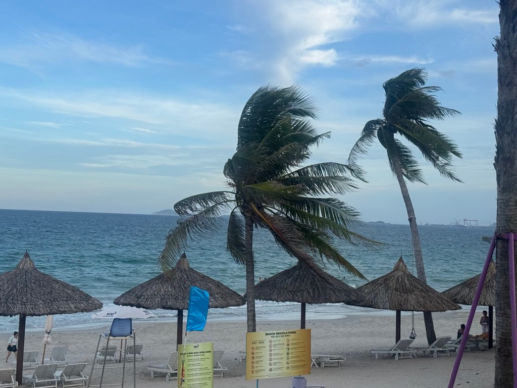 Day 7: Waiting Out Storm&nbsp;Fengshen